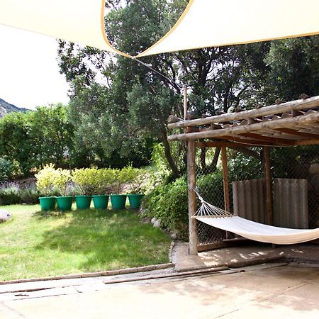 Loft De Montana Los Guayacanes San José de Maipo Eksteriør billede